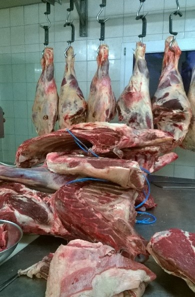 Moorhoof Welsh Black